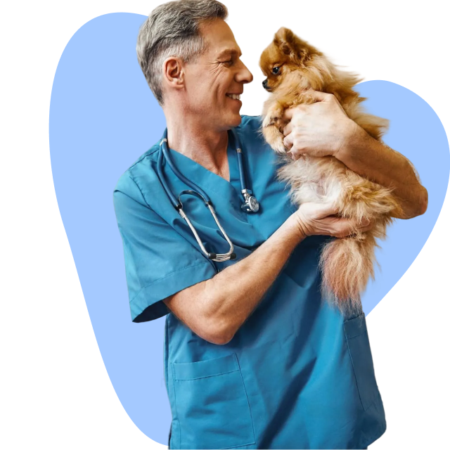Veterinarian with dog